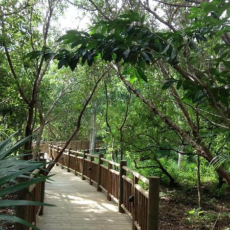 Mayan Palace Vidanta Resort Riviera Maya Puerto Morelos Bagian luar foto