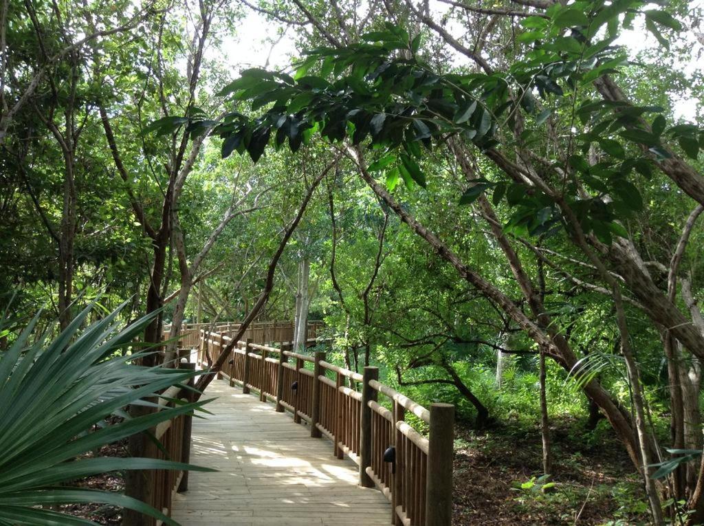 Mayan Palace Vidanta Resort Riviera Maya Puerto Morelos Bagian luar foto